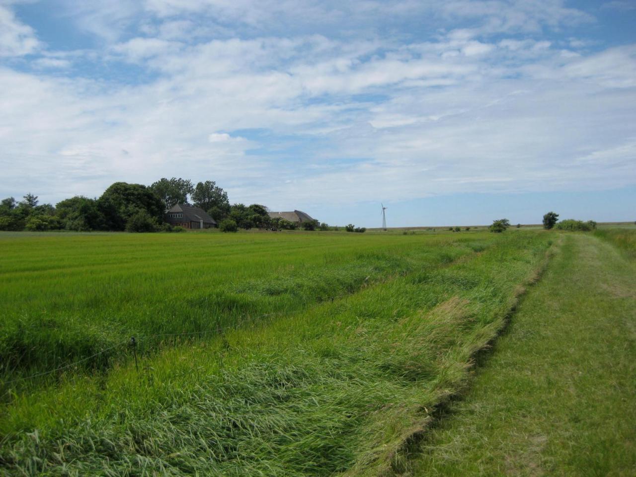 I Hjertet Af Ballum Bagian luar foto